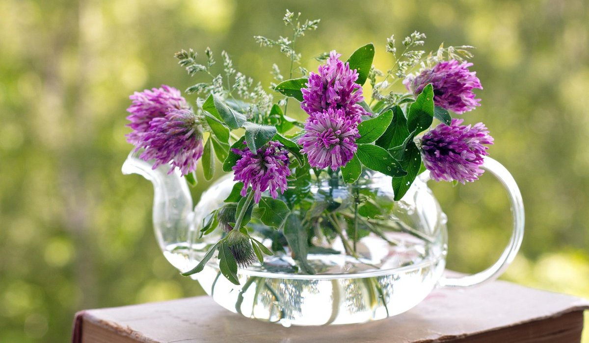 Grand Abode